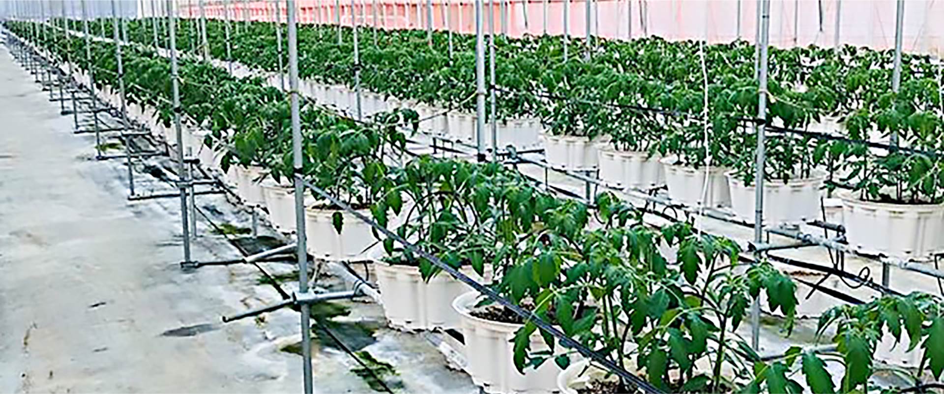 栽培施設内外の各種環境データ取得と設備の自動制御。